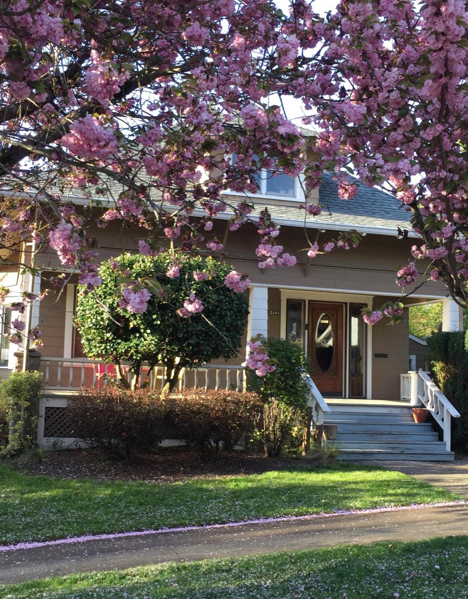 Southeast Portland Comfy & Eclectic Craftsman Home Zewnętrze zdjęcie