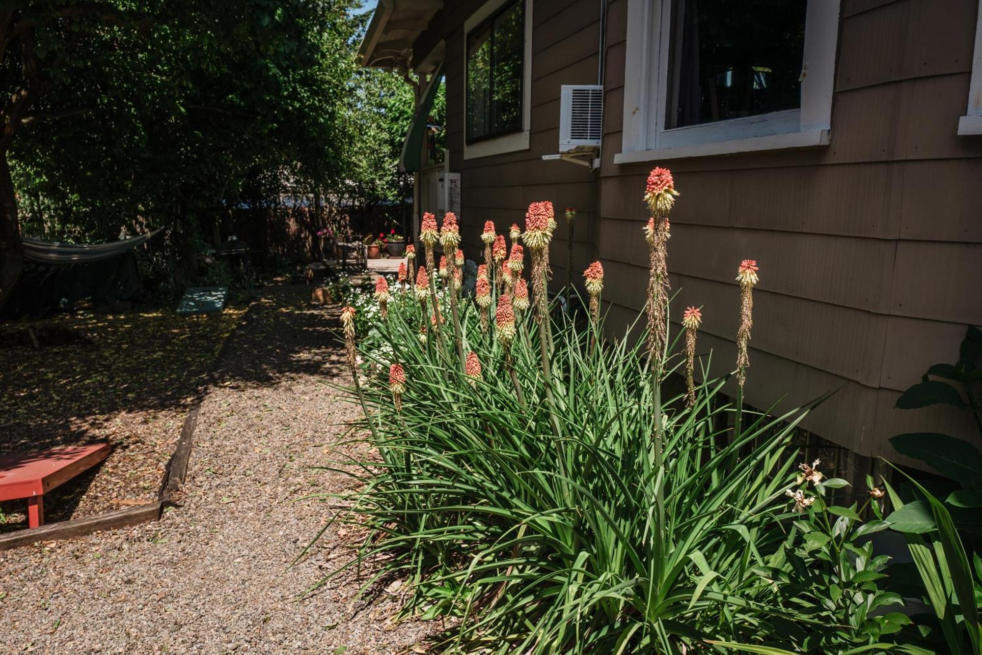 Southeast Portland Comfy & Eclectic Craftsman Home Zewnętrze zdjęcie